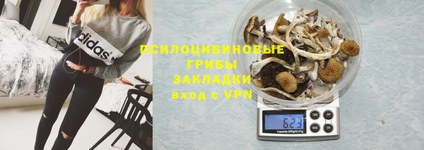 шишки Гусев