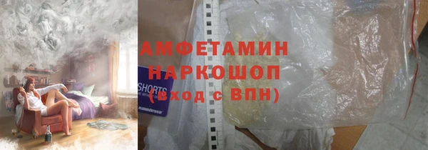 шишки Гусев