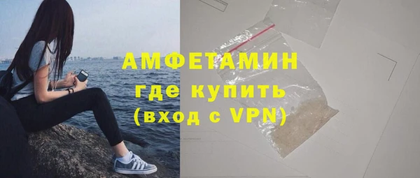 твердый Горняк