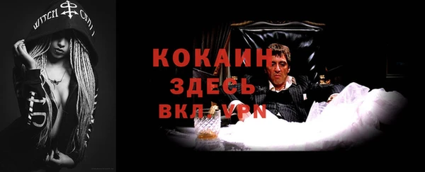 твердый Горняк
