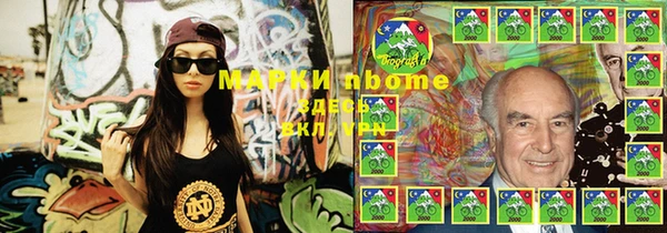 шишки Гусев