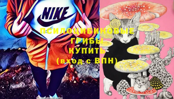 твердый Горняк