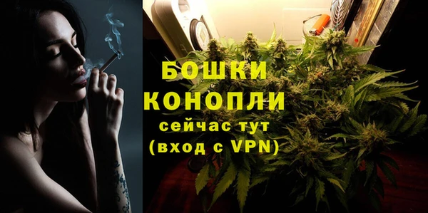 шишки Гусев