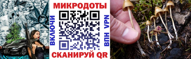 Галлюциногенные грибы Psilocybe где можно купить Майкоп