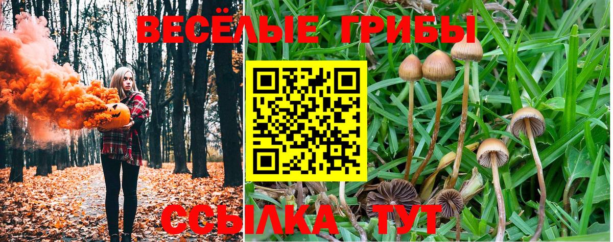 Галлюциногенные грибы Magic Shrooms Майкоп