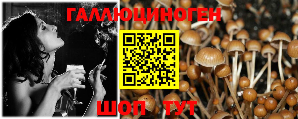 Псилоцибиновые грибы MAGIC MUSHROOMS  Вход с VPN  Майкоп 